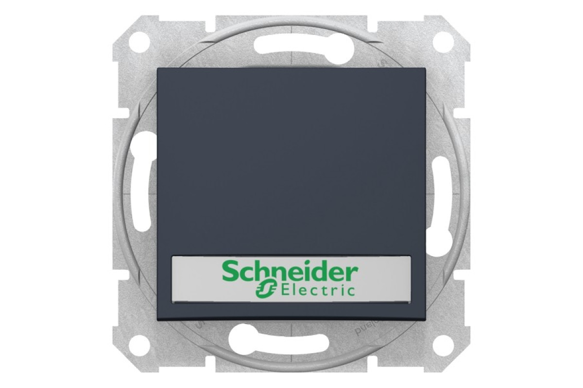 Кнопковий вимикач Sedna Scnheider Electric з підсвіткою та полем для маркування графіт (SDN1600370)