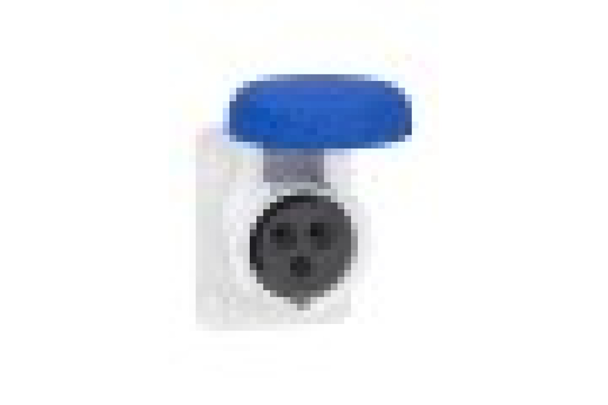 Розетка PRATIKA, пряма, 16A, 2P + E, 200-250 B AC, з'єднання гвинтами, панельна (PKF16G723)