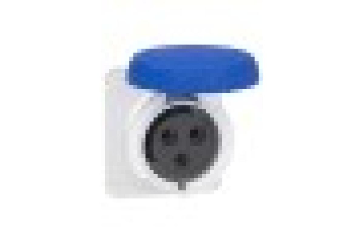 Розетка PRATIKA, пряма, 32A, 2P + E, 200-250 B AC, з'єднання гвинтами, панельна (PKF32G723)