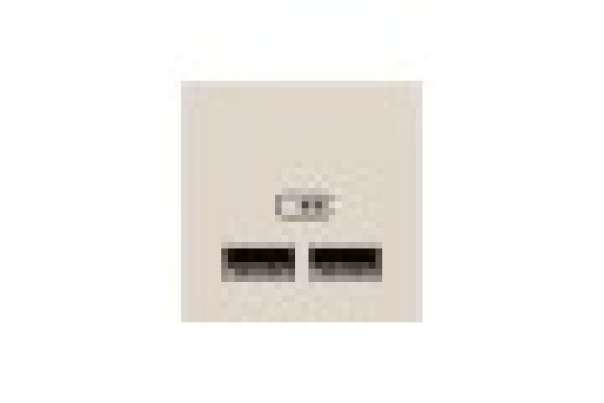 Розетка USB подвійна, 2.1А, 2 модулі, бежева Unica New Studio (NU341844)