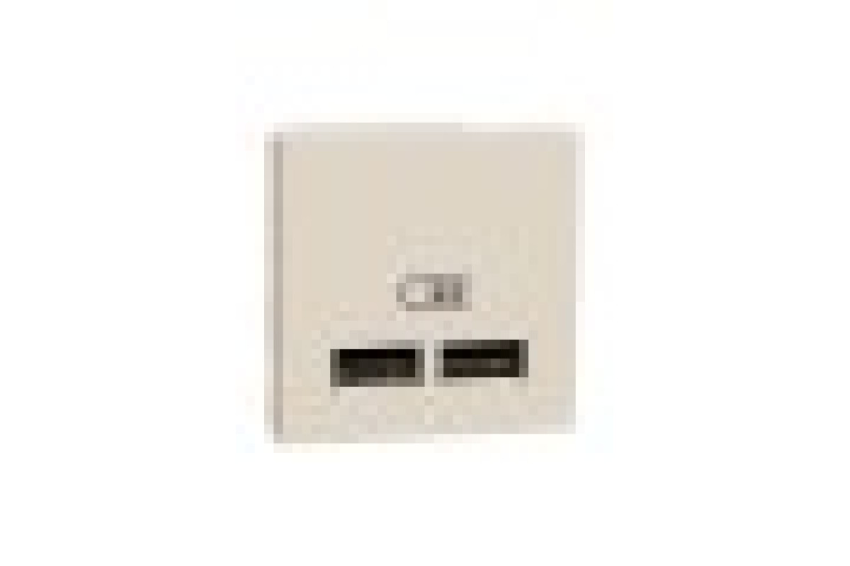 Розетка USB подвійна, 2.1А, 2 модулі, бежева Unica New Studio (NU341844)