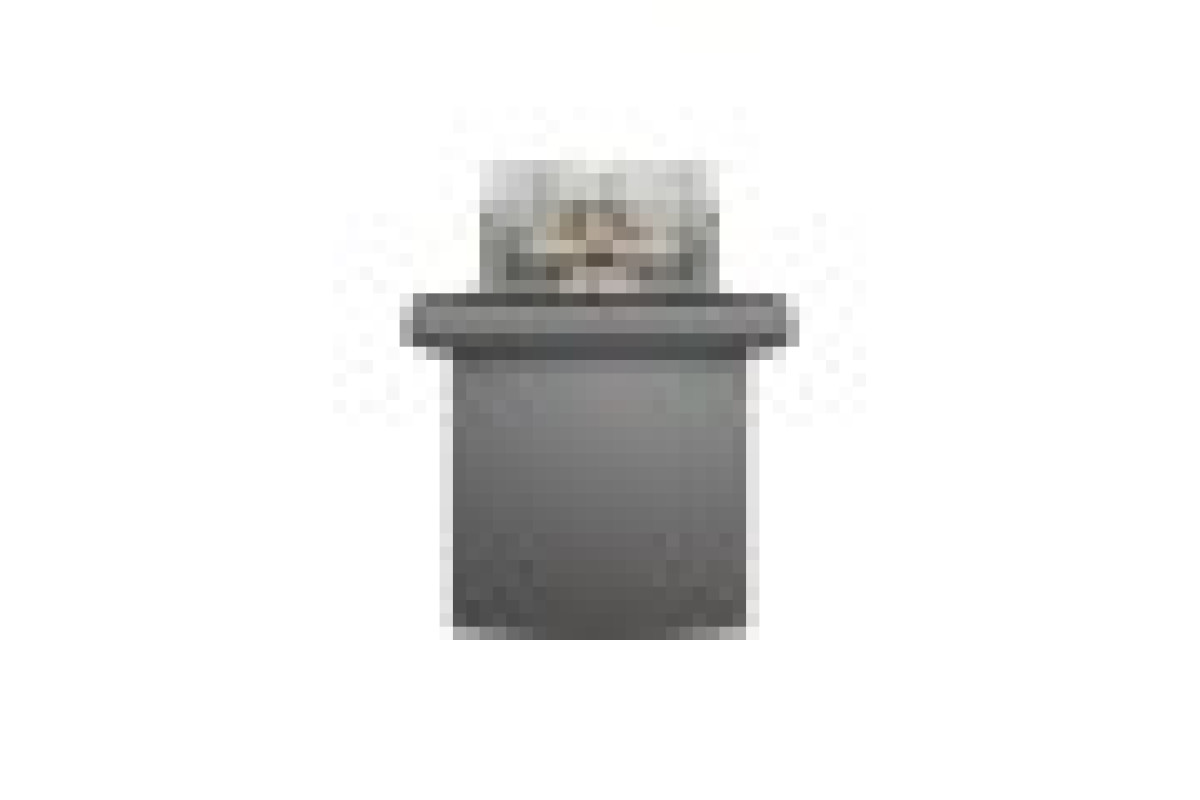 Розетка IP44 з кришкою, з заземленням, з захисними шторками, Антрацит Asfora (EPH3100371)