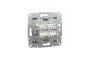 Розетка комп'ютерна RJ45 UTP категорія 5Е подвійна Asfora Сталь (EPH4400162)