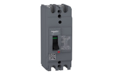 Автоматичний вимикач в литому корпусі EasyPact EZC100H 2P2T 30кА/415В 60A (EZC100H2060)