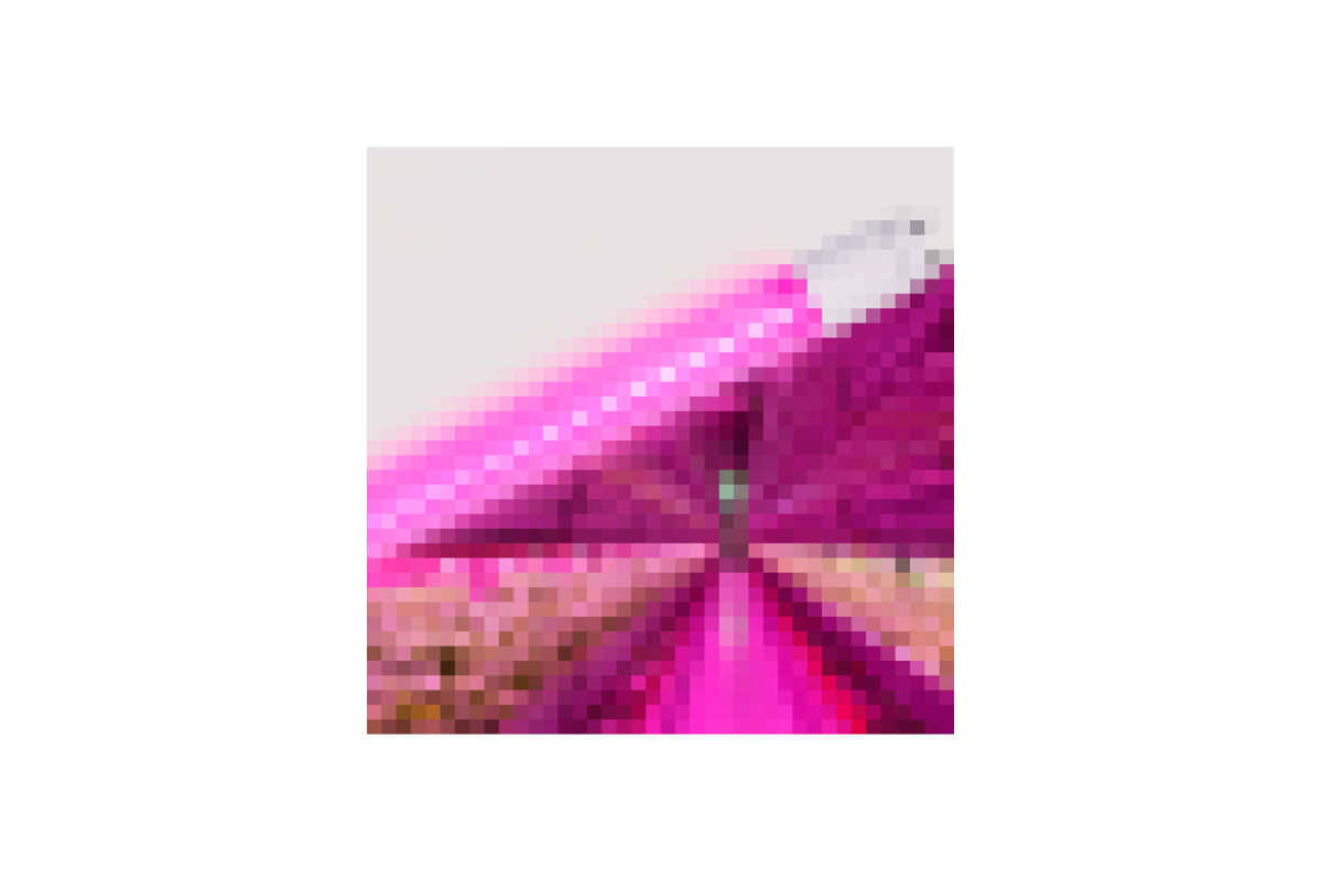 LED FITO лампа VIDEX T8F 9W 0.6M (VL-T8F-0906B)