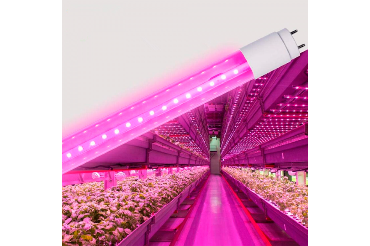 LED FITO лампа VIDEX T8F 9W 0.6M (VL-T8F-0906B)