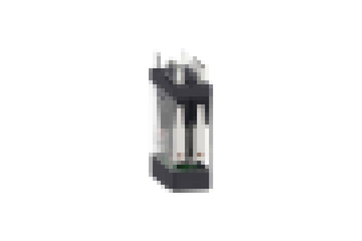 Реле управління - Zelio RXG - 2C/O стандарт - 24V DC - 5 A - без LED (RXG22BD)