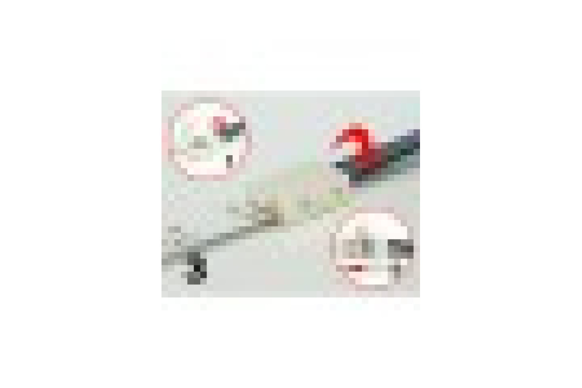 Кабель PROLUM™ для стрічки 5050, RGB, 10 мм, + 1 затискач (503007)