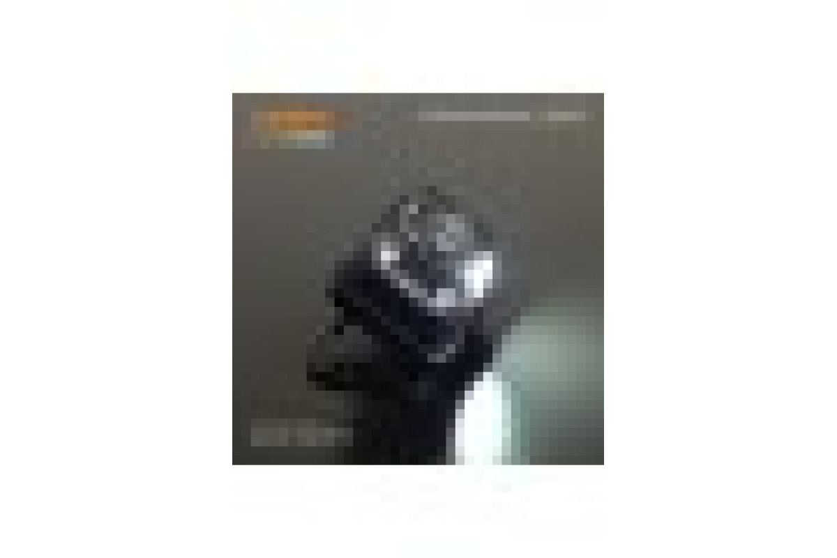 Налобний світлодіодний ліхтарик VIDEX VLF-H025C 310Lm 5000K (VLF-H025C)