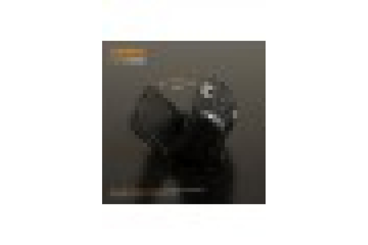 Налобний світлодіодний ліхтарик VIDEX VLF-H025C 310Lm 5000K (VLF-H025C)