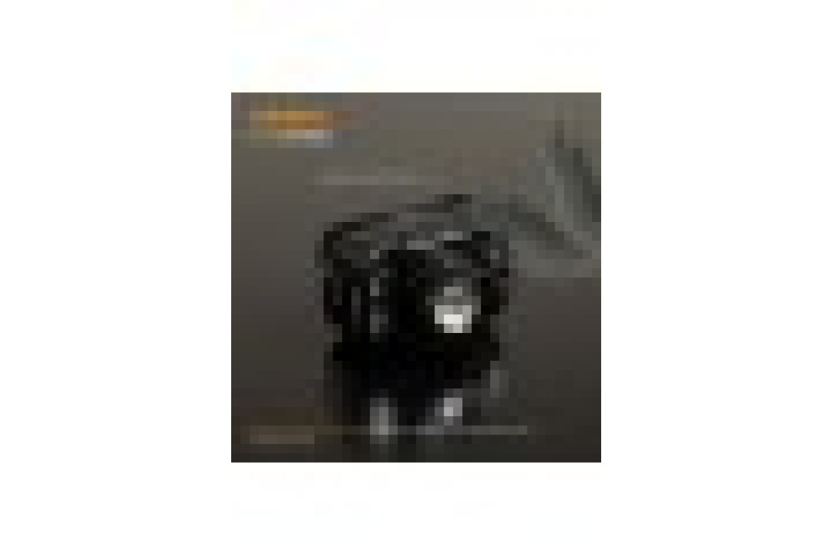 Налобний світлодіодний ліхтарик VIDEX VLF-H045Z 270Lm 5000K (VLF-H045Z)