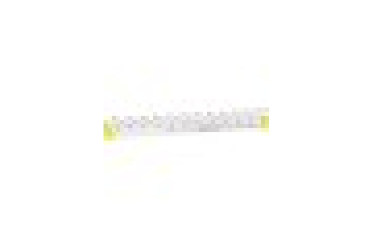 Acti9, гребінчаста шина нижня, 1L+N, ширина 9 мм, 12 модулів, 80А (A9XPH612)