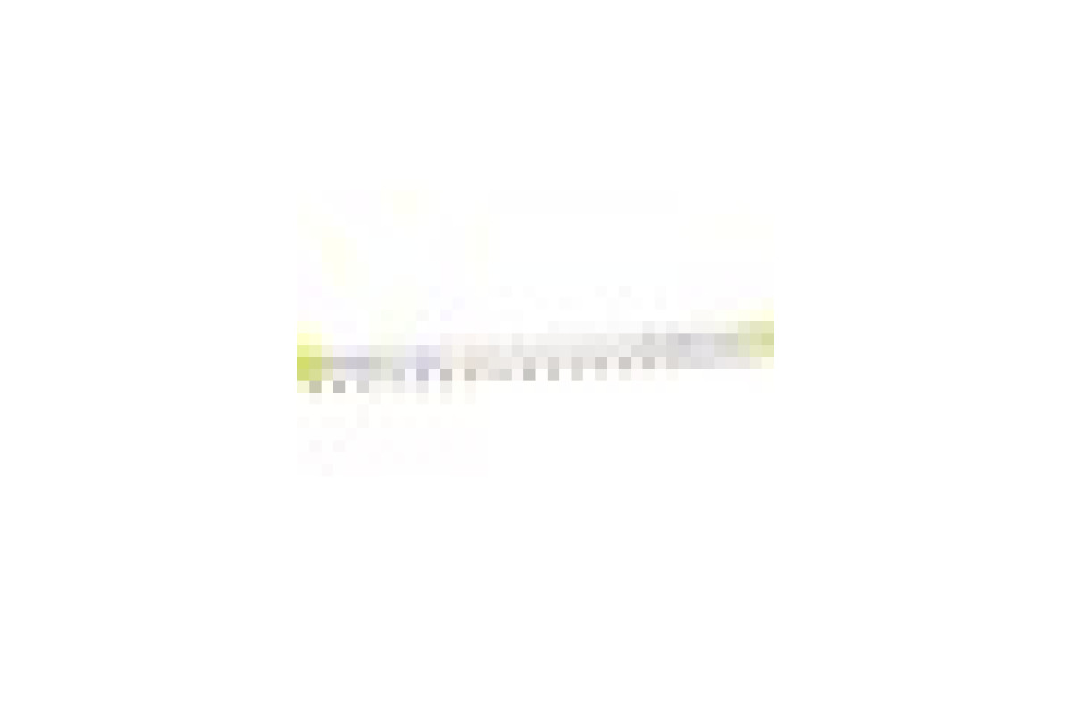 Acti9, гребінчаста шина, 3L+N розділена, ширина 18 мм, 18 модулів, 100 А (A9XPH518)