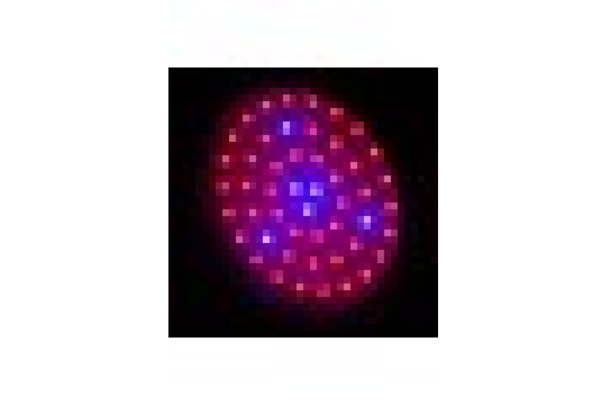 Бра LED фіто для рослин LED-46/50W 50 pcs IP20 GROW (L137-004)