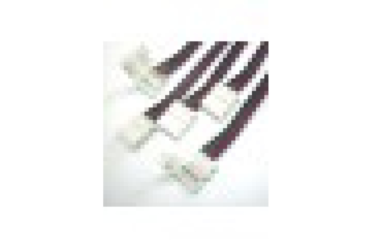 Конектор PROLUM™ для LED стрічки 10 мм, RGB + 2 затискачі (503008)