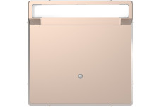 D-Life Вимикач з ключ.-картою Шампань (MTN3854-6051)