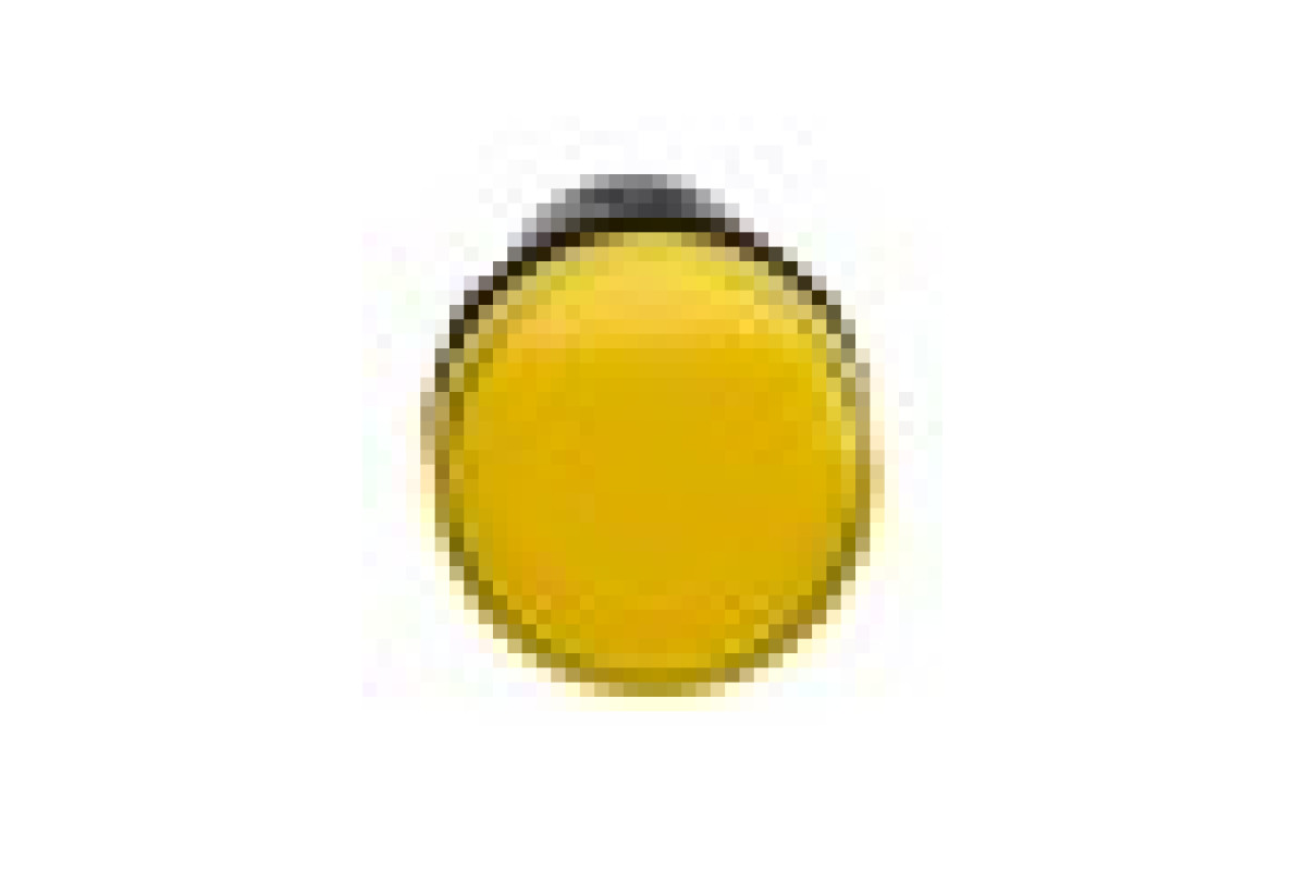 Середня сигнальна лампа ХА2 жовтого кольору з номіналом 24В АС/DC (XA2EVB8LC)