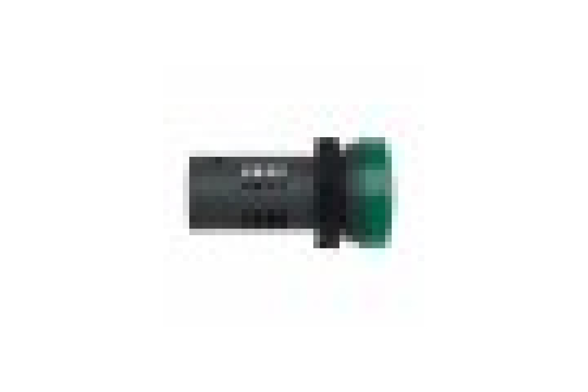 Середня сигнальна лампа ХА2 зеленого кольору з номіналом 110В АС (XA2EVF3LC)