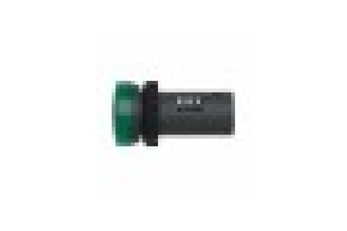 Середня сигнальна лампа ХА2 зеленого кольору з номіналом 110В АС (XA2EVF3LC)