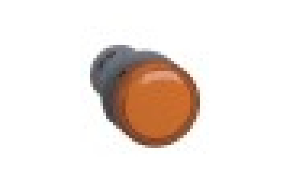 Середня сигнальна лампа ХА2 помаранчевого кольору з номіналом 110В АС (XA2EVF5LC)