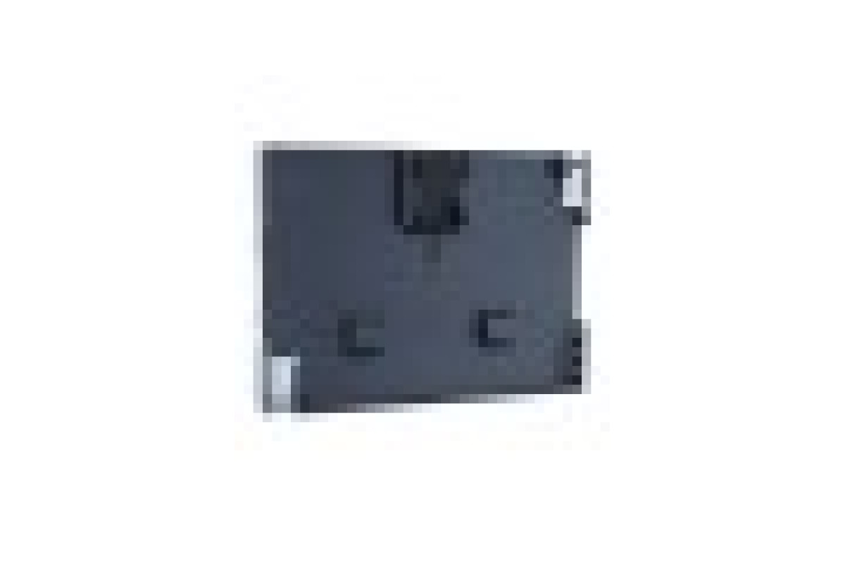 Интеллектуальное реле 20ВХ/ВЫХ,ДИСПЛ.+Ч.=12В (SR2B201JD)