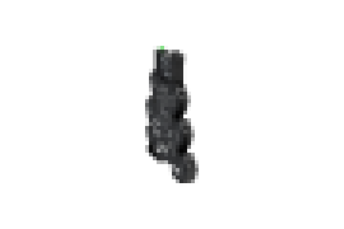 Реле RSL+цоколь пружинний,~/=24В (RSL1PRBU)