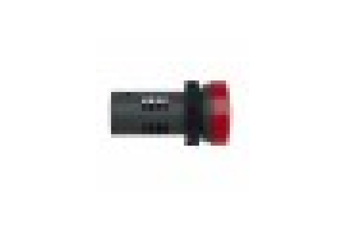 Середня сигнальна лампа ХА2 червоного кольору з номіналом 220В АС (XA2EVM4LC)