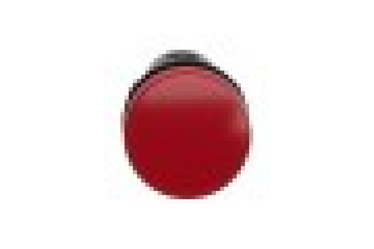 Середня сигнальна лампа ХА2 червоного кольору з номіналом 24В АС/DC (XA2EVB4LC)