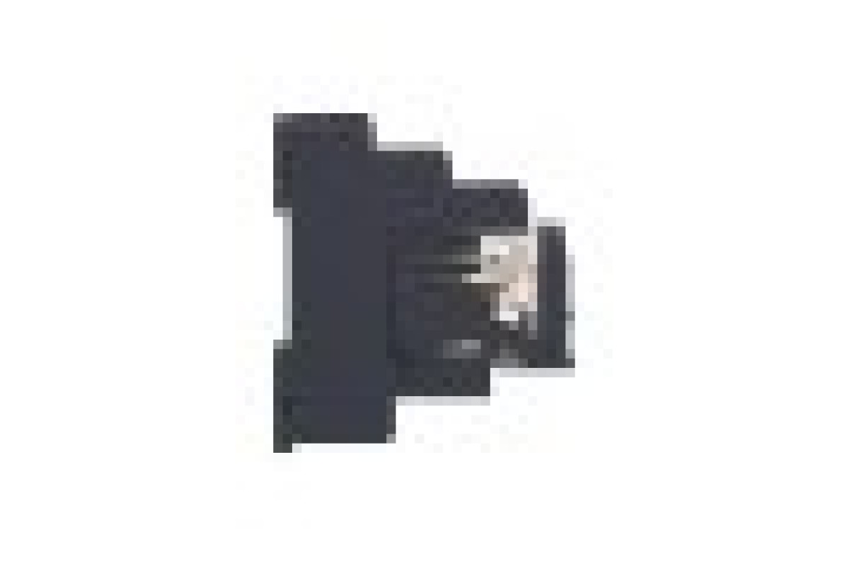 Реле електромеханічне інтерфейсне в зборі,2CO,=24В (RXG22BDPV)