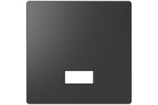 D-Life Клавіша з полем для символу Антрацит (MTN3350-6034)