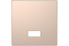 D-Life Клавіша з полем для символу Шампань (MTN3350-6051)