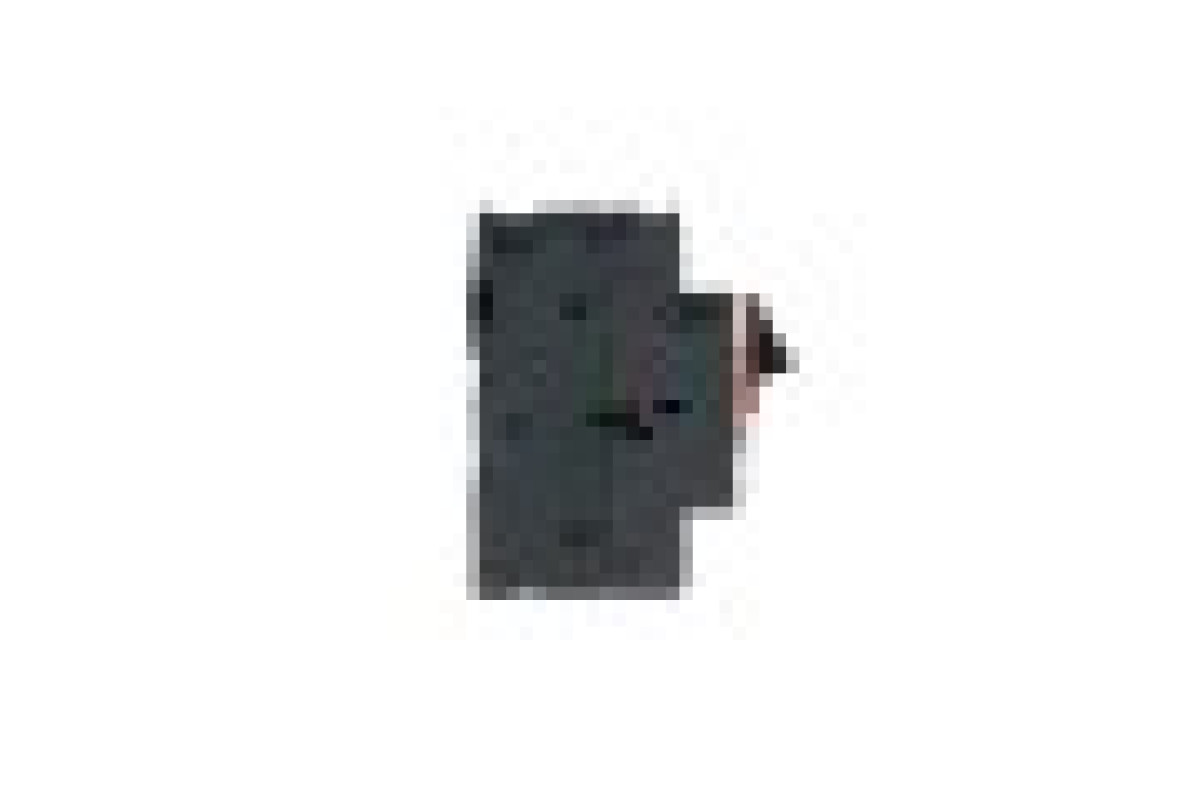 Автоматичний вимикач захисту двигунів TeSys GV 13-18 (GV2ME20)