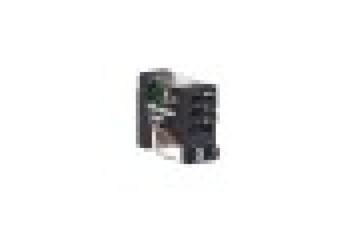 Реле управління - Zelio RXG - 1 C/O стандарт - 24 V AC - 10 A - з LED (RXG12B7)