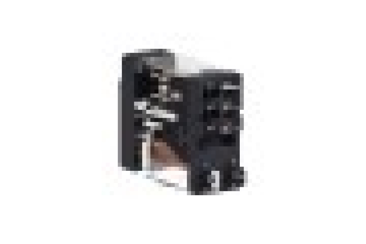 Реле управління - Zelio RXG - 1C/O стандарт - 120V AC - 10A- без LED (RXG11F7)