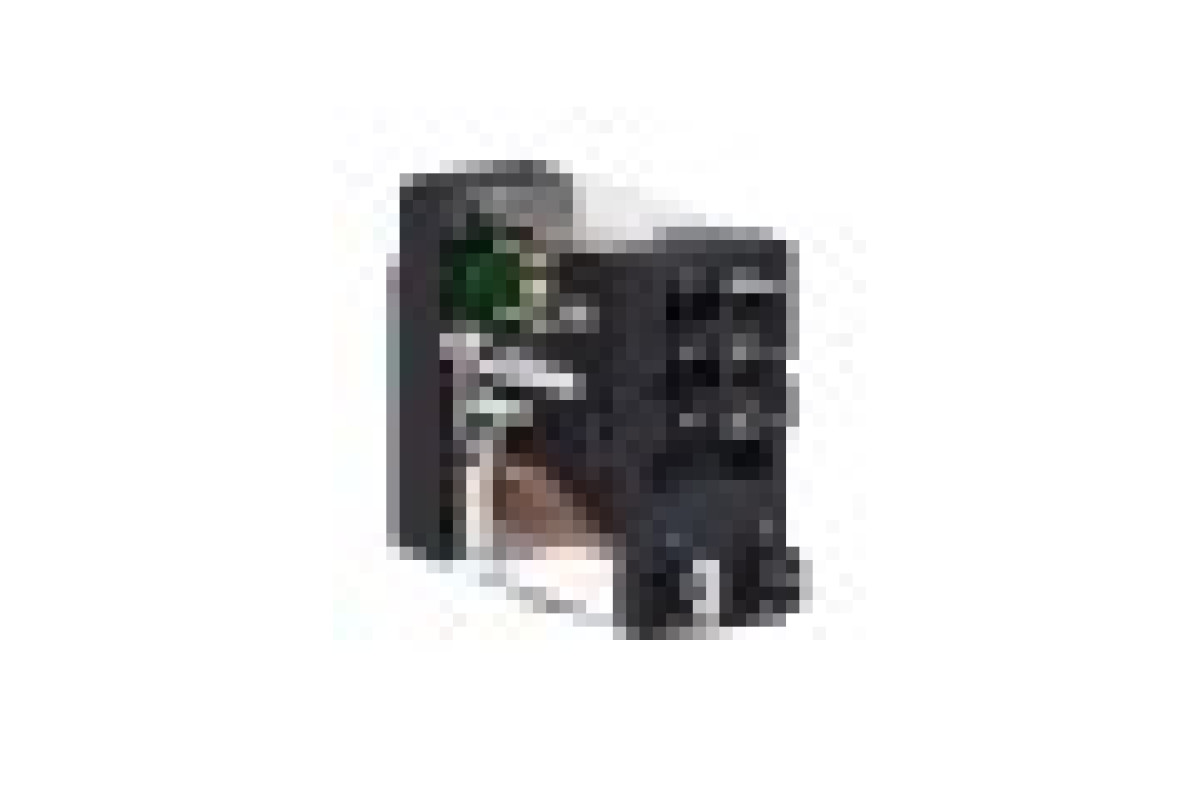 Реле управління - Zelio RXG - 1C/O стандарт - 230V AC - 10A- без LED (RXG12P7)