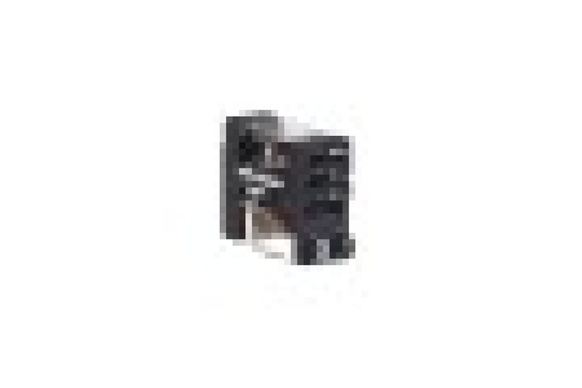 Реле управления - Zelio RXG - 1C/O стандарт - DC 24V - 10A - без LED (RXG11BD)