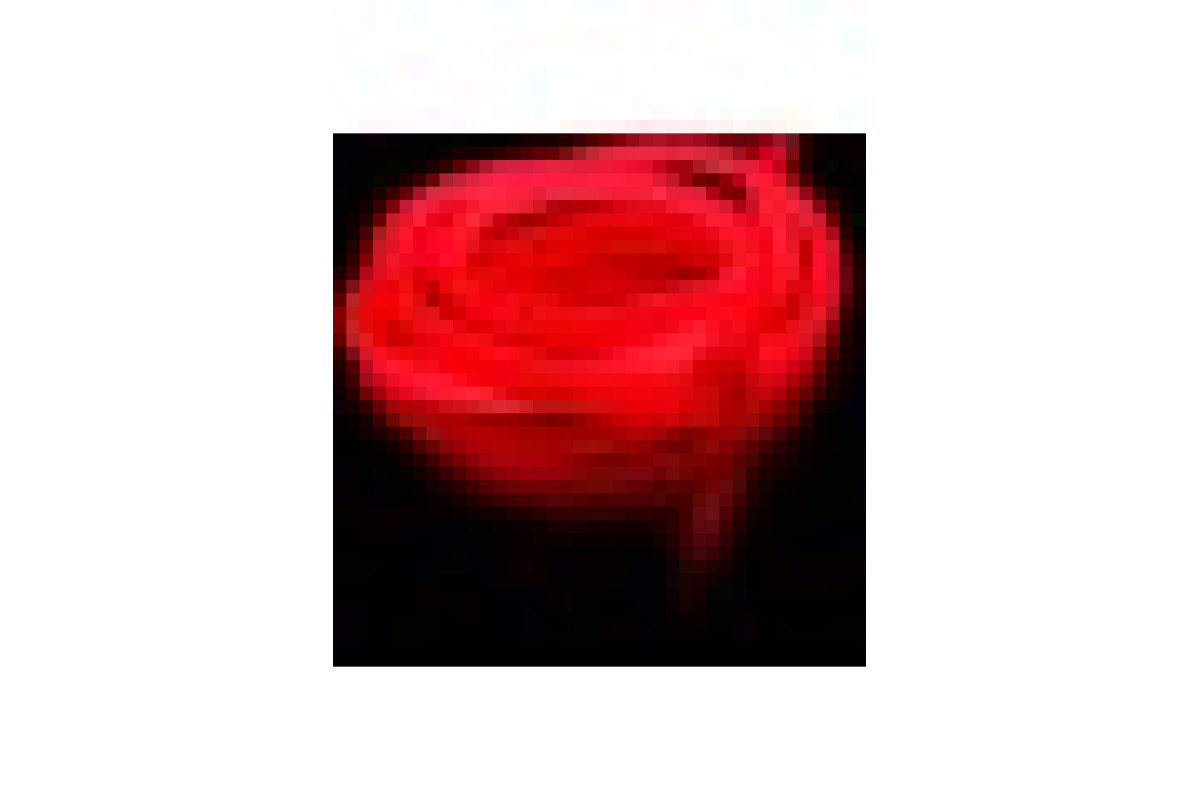 Світлодіодний неон PROLUM™ Круглий D15, IP68, 220V, Series "RN", Червоний, PRO (160014)