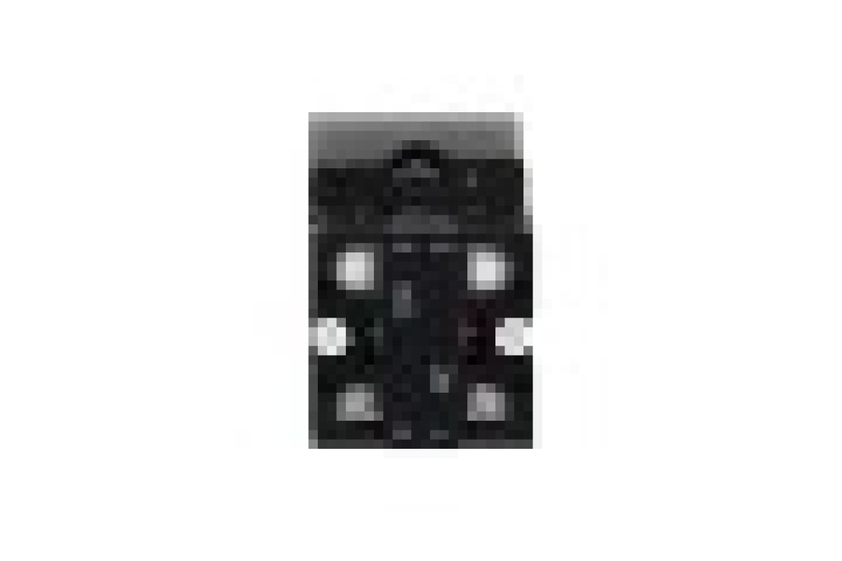 Двухголовая кнопка, Easy Harmony XA2, пластик, 22 мм, 1NO + 1NC (XA2EA7A3415)