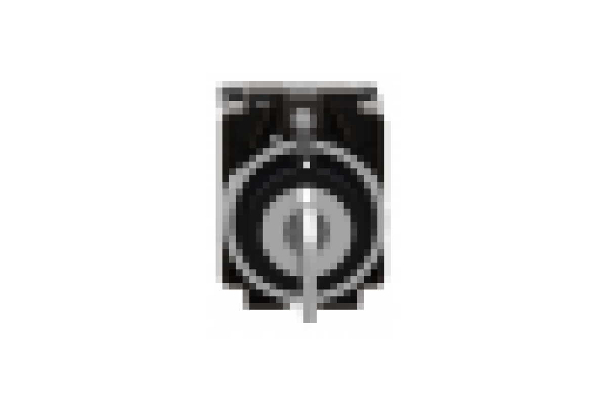 Ключовий перемикач, Easy Harmony XB2, метал, чорний, 22 мм, 3 положення, з фіксацією, 2 сторони висувні, 2NO (XB2BG53C)