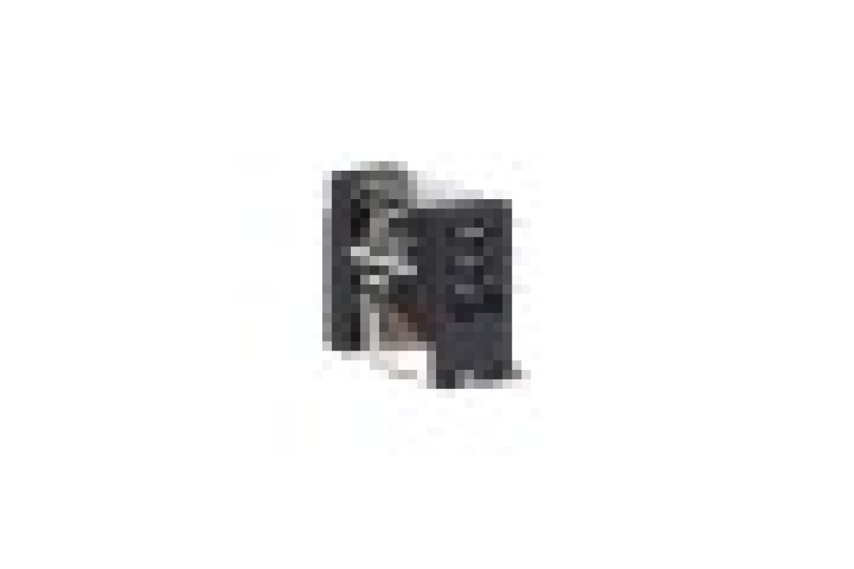 Реле управления – Zelio RXG – 2C/O стандарт – 12V DC – 5 A – без LED (RXG21JD)