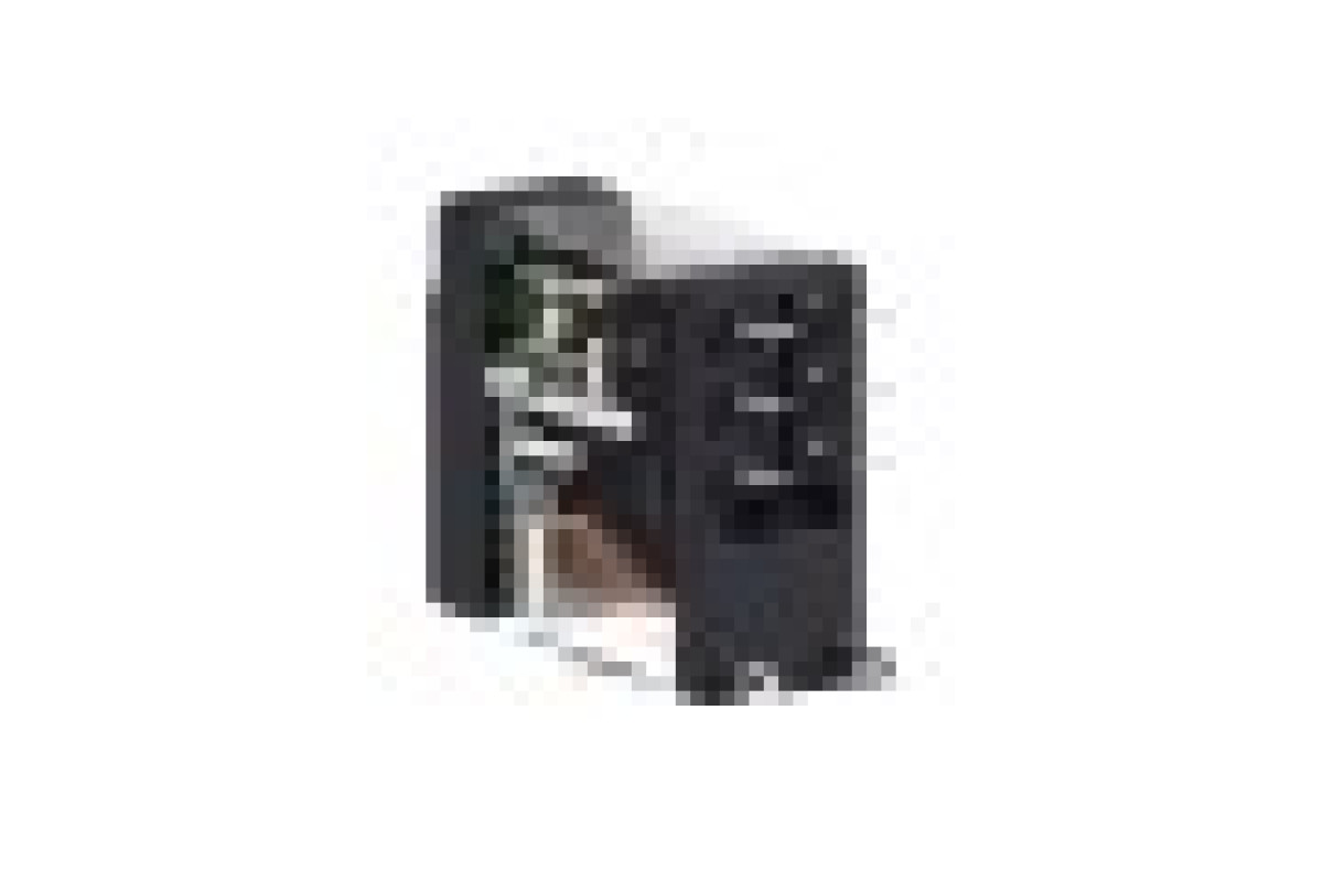 Реле управления – Zelio RXG – 2C/O стандарт – 48V DC – 5 A – без LED (RXG22ED)