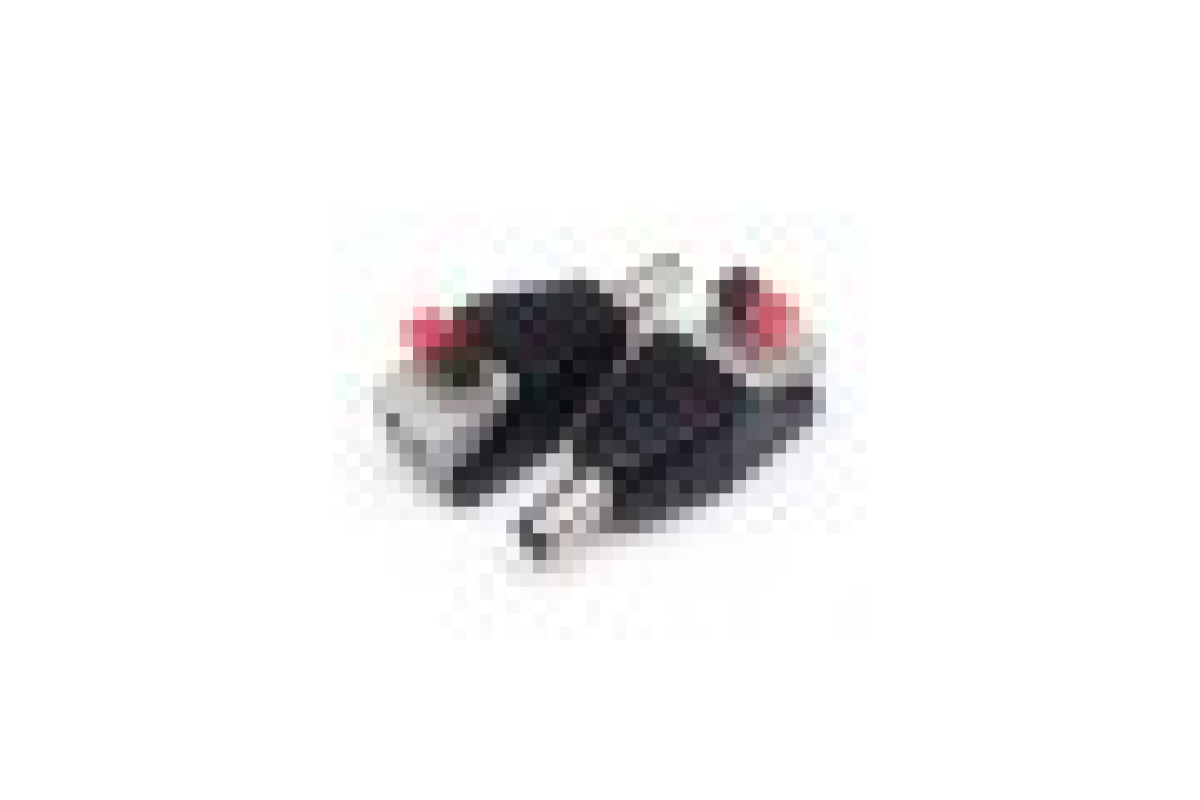 Штекер живлення PROLUM™ 5,5 мм, Папа із затискачем (503045)