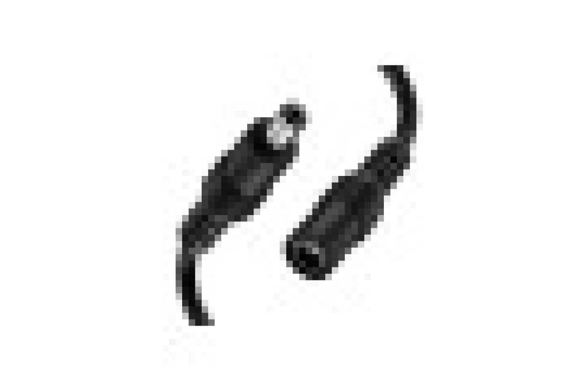 Штекер живлення PROLUM™ 5,5 мм, Папа з дротом (503022)