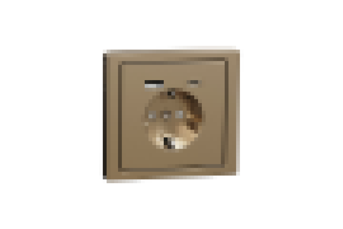 D-Life Розетка 16 A USB A+C 3 A, Шампань (MTN2367-6051)