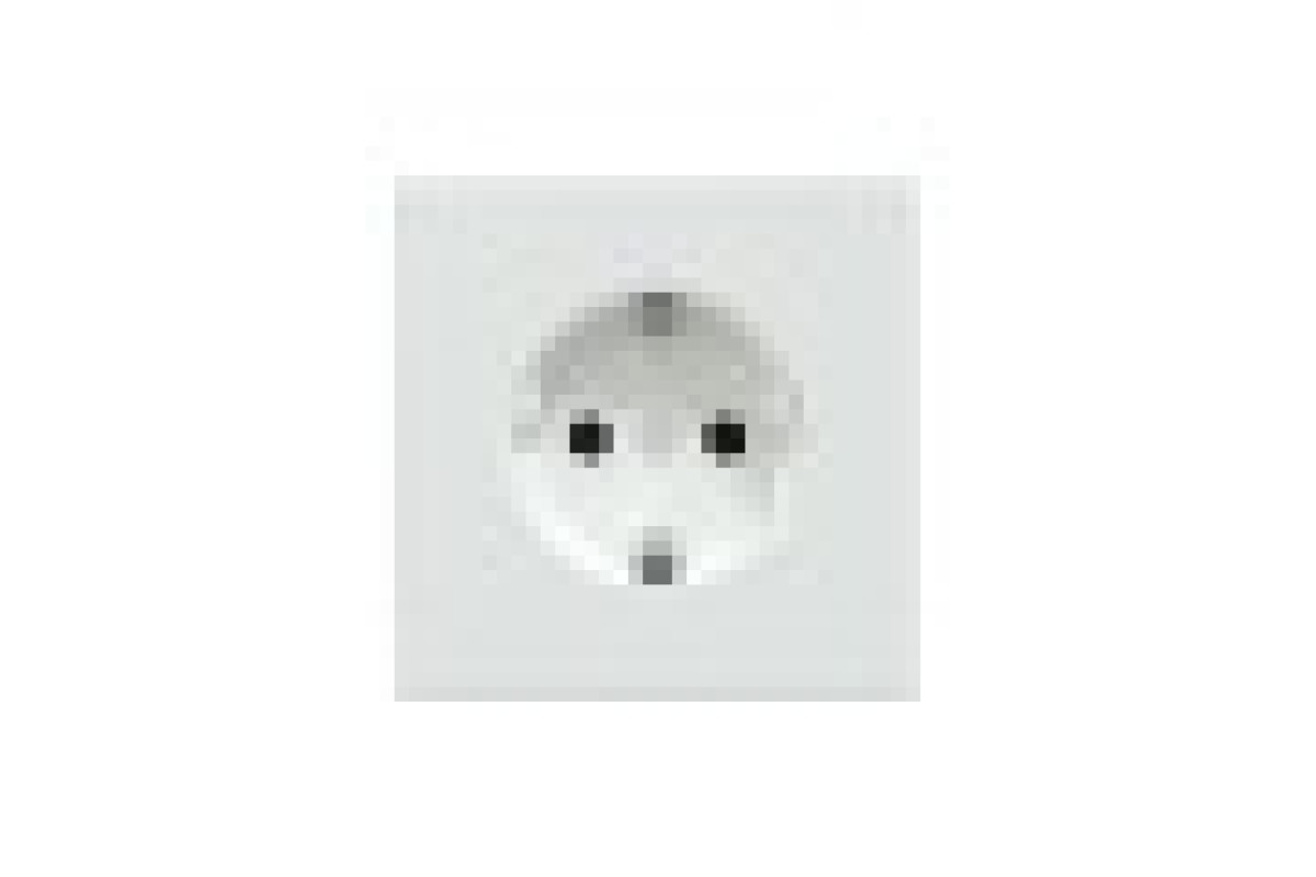 D-Life Розетка з заземленням і шторкою Білий лотос (MTN2300-6035)