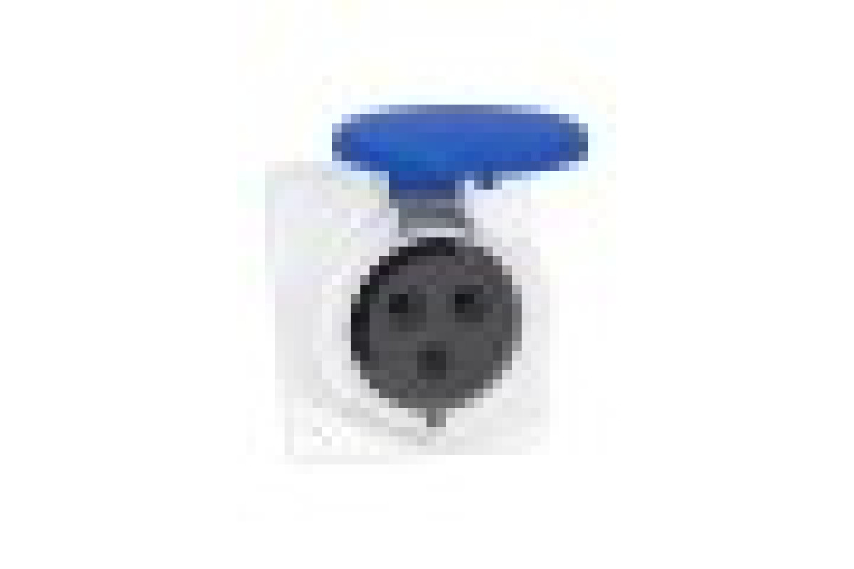 Розетка PRATIKA, кутова, 32A, 2P + E, 200-250 B AC, з'єднання гвинтами, панельна (PKF32F423)