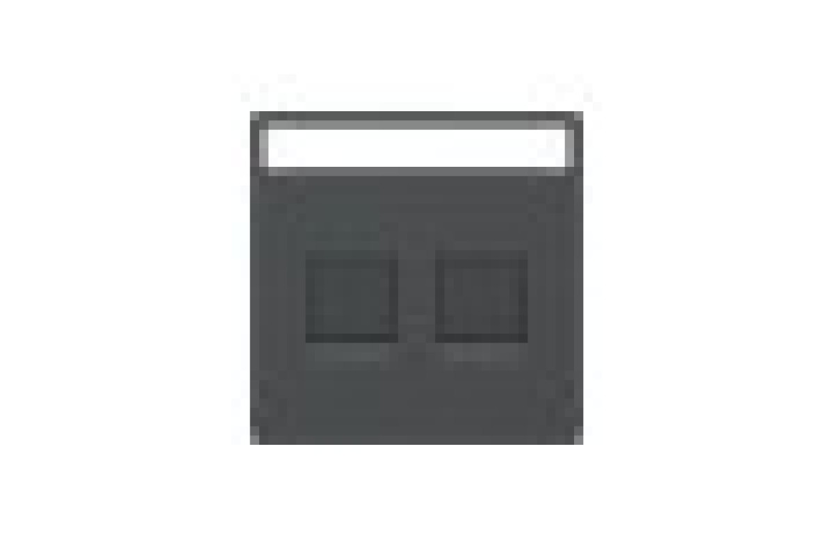 D-Life Центральна накладка 2- модульний роз'єм Антрацит (MTN4564-6034)