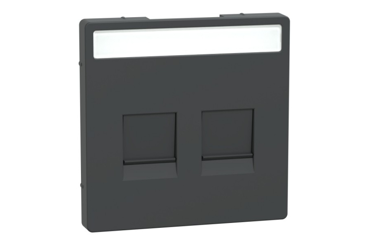 D-Life Центральна накладка 2- модульний роз'єм Антрацит (MTN4564-6034)