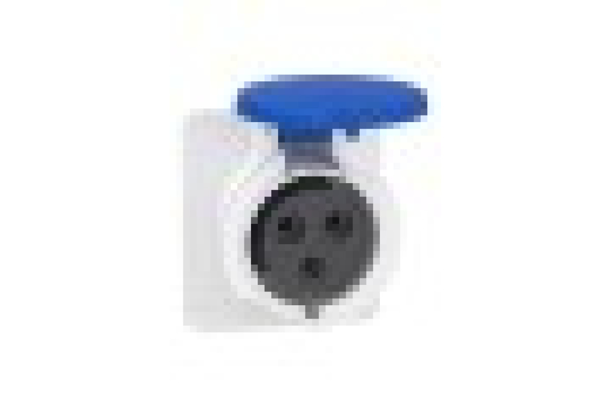 Розетка PRATIKA, пряма, 32A, 2P + E, 200-250 B AC, з'єднання гвинтами, панельна (PKF32G423)