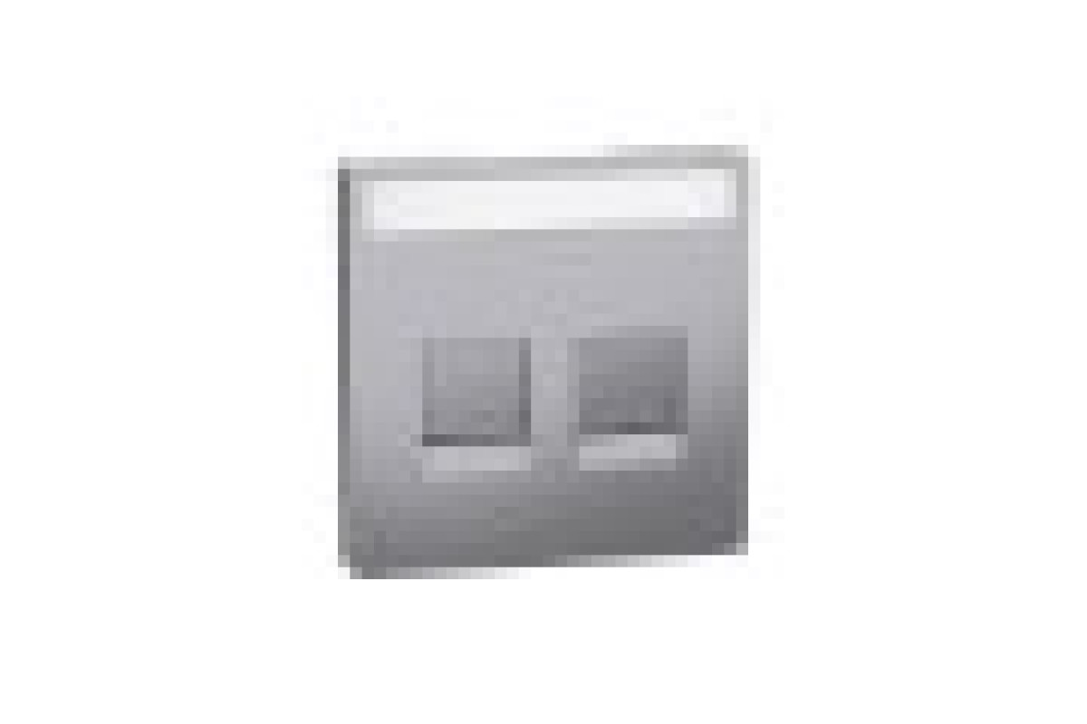 D-Life Центральна накладка 2-модульний роз'єм Нержавіюча сталь (MTN4564-6036)